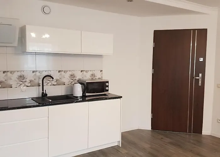 Apartament Centrum 1
